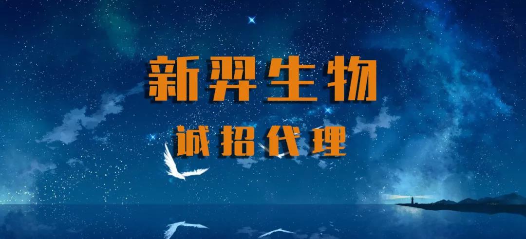 星辰大海 羿启远航