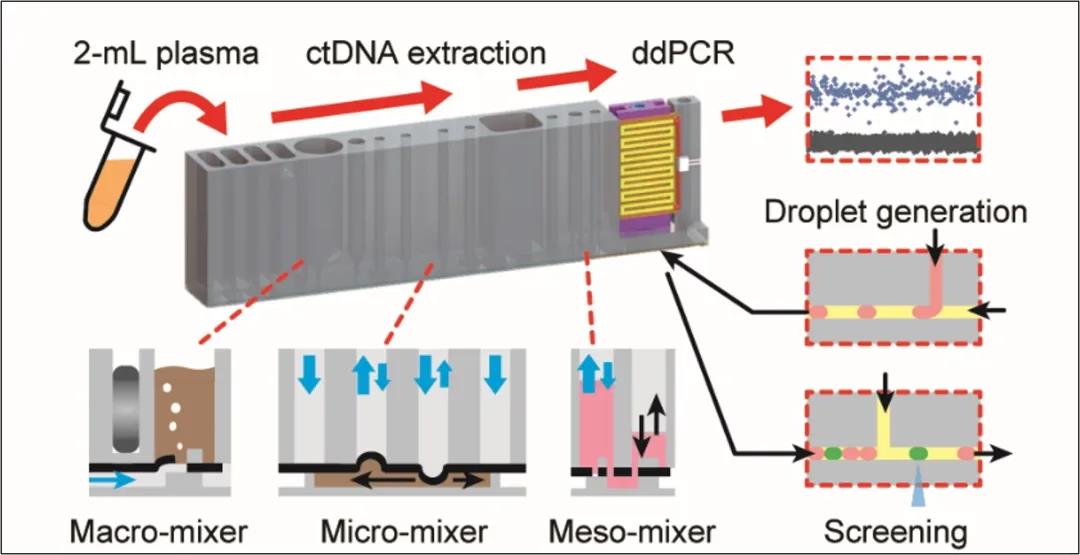 全集成微液滴数字PCR微流控技术，Anal. Chem., 2018